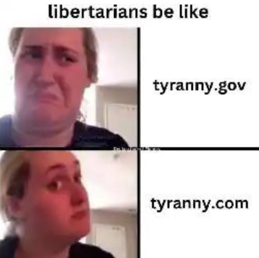 title text "Libertarians be like:" above 2-panel "Kombucha Girl" meme format, disgusted face next to "tyranny.gov", reconsidering face next to "tyranny.com"
